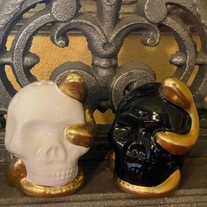 B HARBOR COLLECTION 💀🐍🖤 Skull With Snake Salt and Pepper Set NEW IN BOX